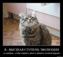 Кошатники скорее всего "говеньями" закидают, но..