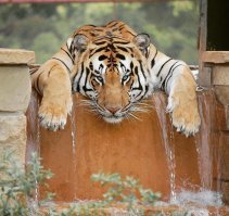 Демотиваторы, которые вы еще не видели