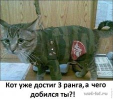 И чо теперь делать?В училище прикололись,на свинью натянули бушлат с прапорскими погонами(намёк на прапора с фамилией СаллО,с ударением на "О");)