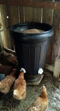 А петуху-то как удобно будет курок топтать!!