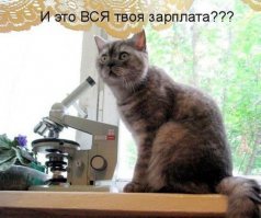 Смешные картинки