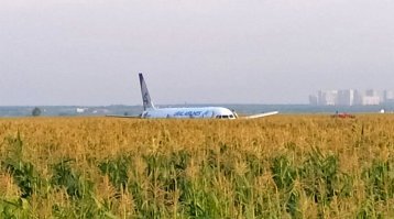 Вот настоящий кукурузник
