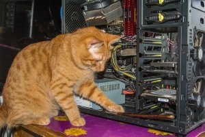 У меня таких фоток на год постов хватит)))