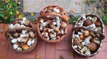 А у нас тоже бывает, но не каждый год... Нижегородская обл., Воскресенский район