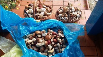 А у нас тоже бывает, но не каждый год... Нижегородская обл., Воскресенский район