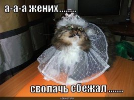 Девушка поймала букет невесты - реакция бойфренда бесценна!