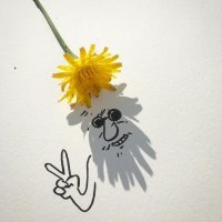 Тени: неожиданно о том, что все привыкли не замечать