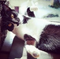 Младшенькая Юта