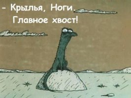 Зачем польские гусары надевали крылья во время боя