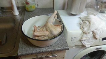 вчера в огород опять пришла соседская курица. Это был её последний визит