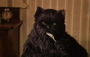 Вот кот-бегемот )