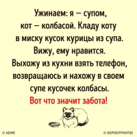 Кого в семье кошка больше всех любит?