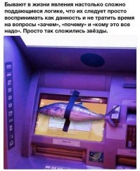 Невероятные ситуации, к которым нас не готовила жизнь