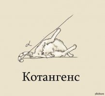 Смешные картинки с надписью