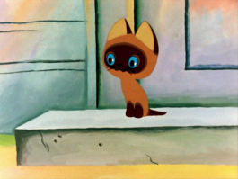 7 домашних животных-долгожителей