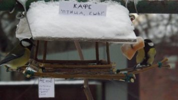 Немного недоклассики