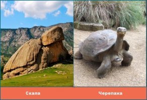 Что на что похоже.