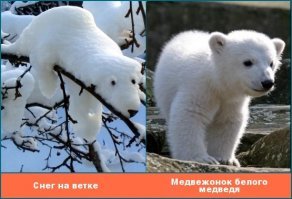 Что на что похоже.