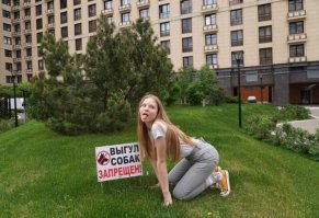 Моя сучка в кустах не гадит.