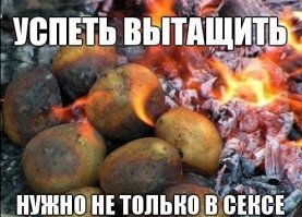 В кожуре уголёк: как на Руси ели, пили и лечились картошкой