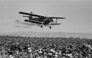 Найди десять отличий!