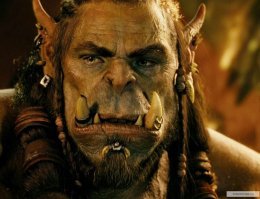 «Оборотень!»: гигантский кот мейн-кун заставил соцсети благоговеть