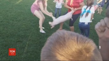 ведут себя как свинью(ц)