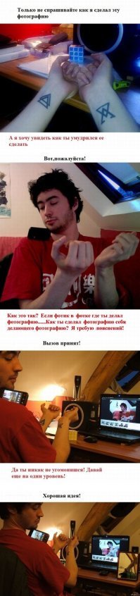 20 котов-проказников, которые ни дня не обходятся без шалостей