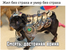 Скрины из социальных сетей