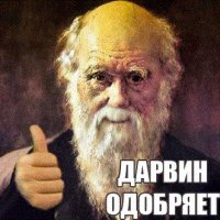 Поклонница экстремальной йоги упала с шестого этажа