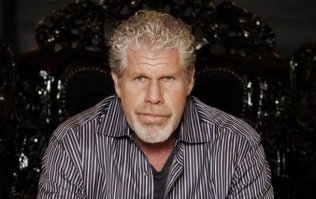 Неее, это синий чувак подпольная кличка "зае*ись хурма".
А кот похож на Рона Перлмана. Или Рон похож на куна, как кому больше нравится.