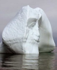 Гигантский снежный портрет в Антарктике рассорил пользователей