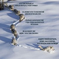 Смешные картинки с надписью