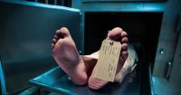 Средняя температура по больнице, включая пациентов морга составляет 36,62С, что безусловно свидетельствует о прекрасном лечении и выздоровлении наших пациентов.
Из доклада главврача Собянина.