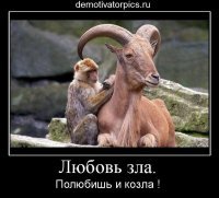 Прикольные и смешные картинки