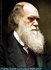 Увидеть Эверест и умереть