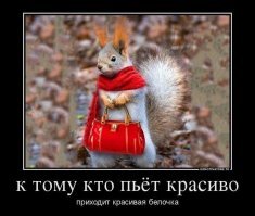 Демотивируй