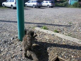 МОЙ  С ПОДРУГОЙ