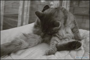 "Чтоб в темноте блестело."