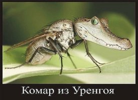 Как избавиться от зуда после укуса комаров