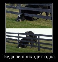 Вроде этого: