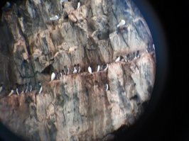 Северный ледовитый океан. Земля Франца-Иосифа. Август 2019 года.