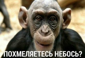 Жил человек рассеянный... А дальше не помню...