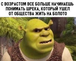 Мистер Пропер офанарел бы от этой подборки