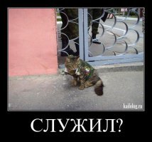Смешные картинки с надписью