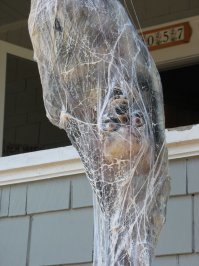 И что вылупится?