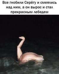 Трэш. Угар. Деградация
