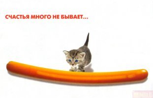 Фотоистория многодетной семьи: старшенький, близнецы и тройняшки