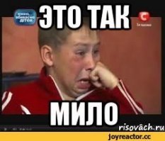 Таким гостям не рад ни один отель!