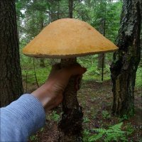 Лучше обы она куй своему хахелю так оторвала, что бы не размножались